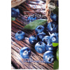 vycd329dhj8afp1jrmuwpe82368qrqut